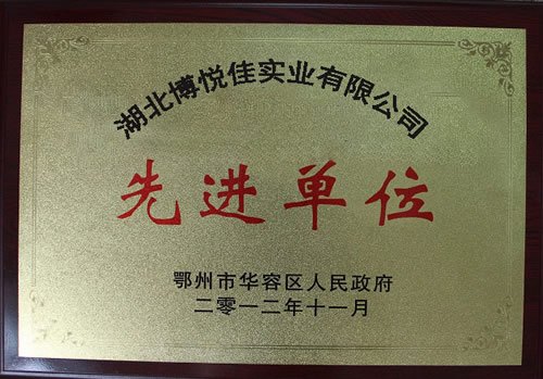 湖北博悅佳實業有限公司先進